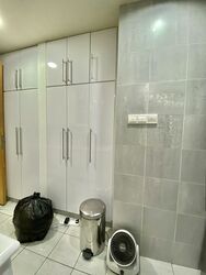 Cairnhill Crest (D9), Condominium #535243651